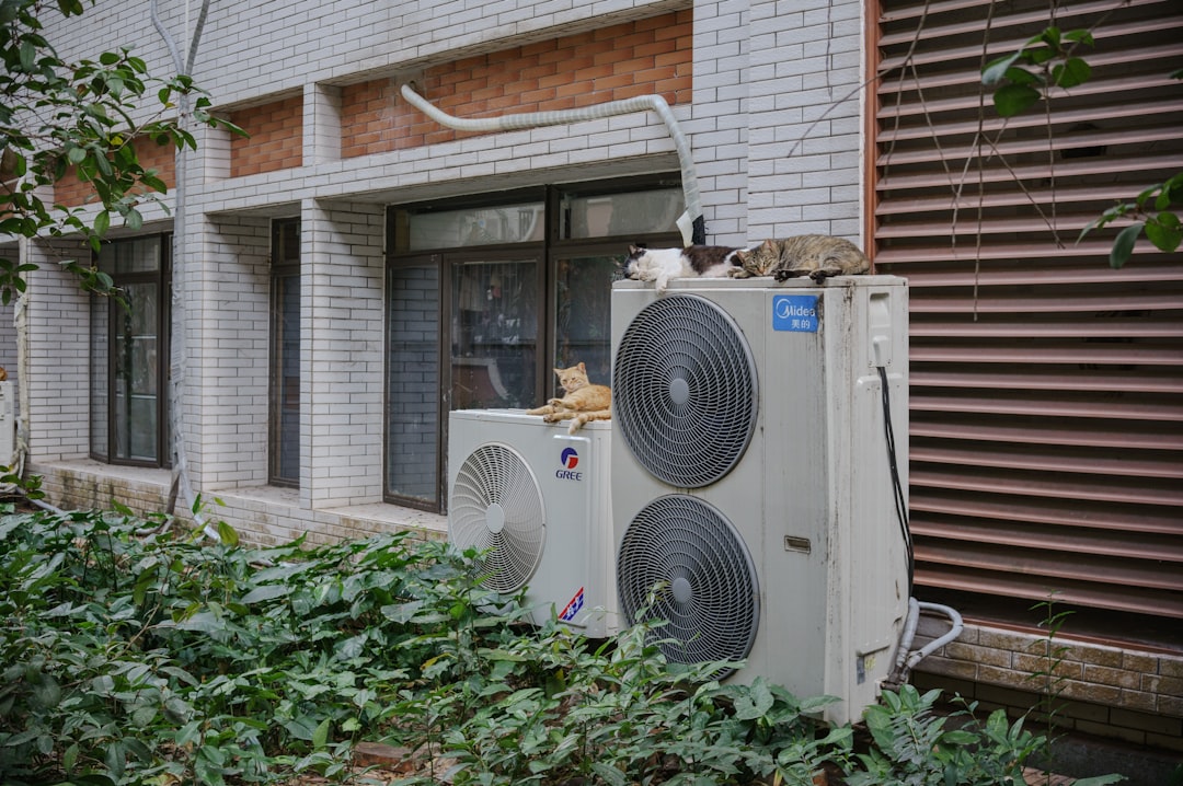 Cats are lounging on an outdoor air conditioning unit.
