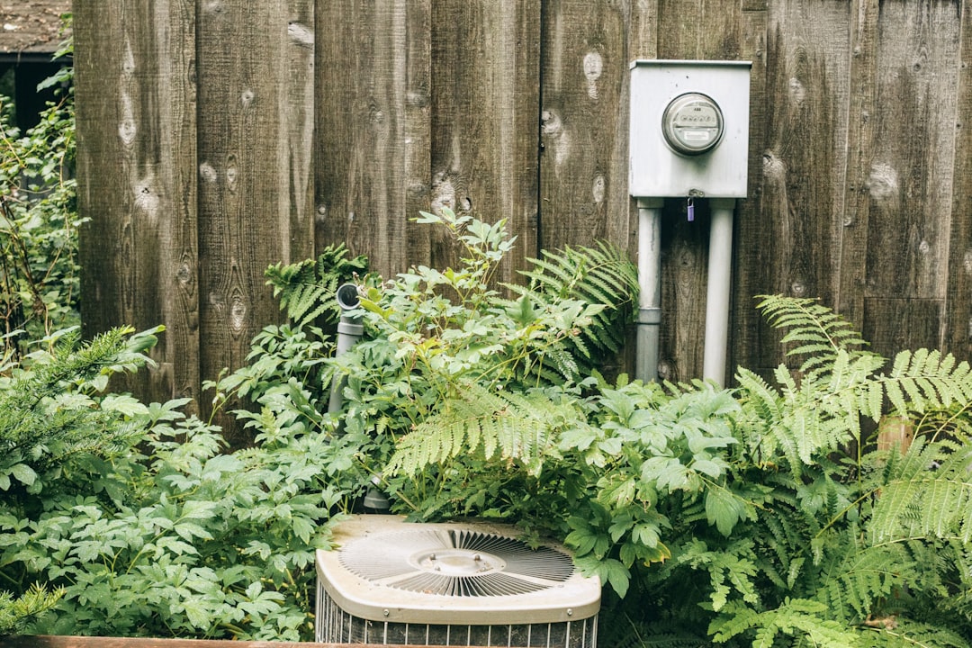 a bird feeder in a garden