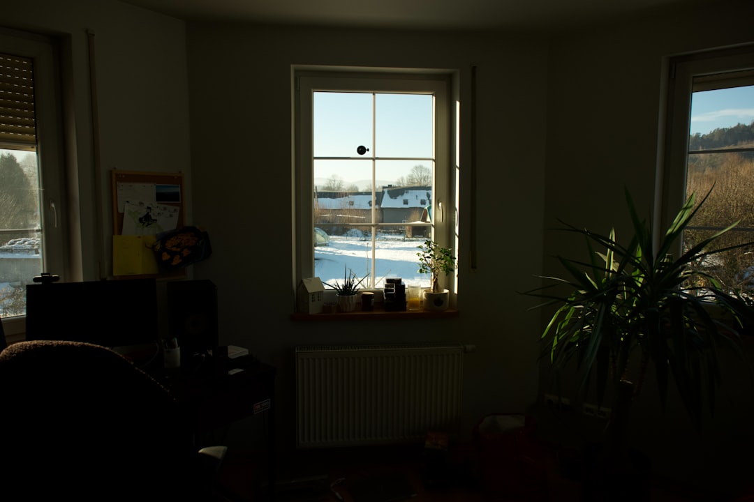 Sunlight streams through a window onto snow-covered landscape.