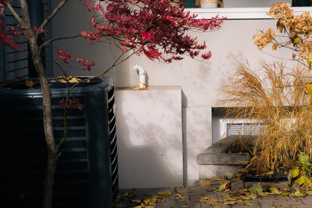 Autumn leaves and dry grass by a building